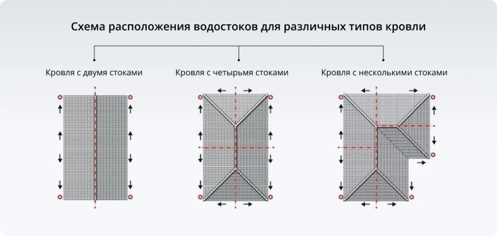 img-3.webp img-3.webp