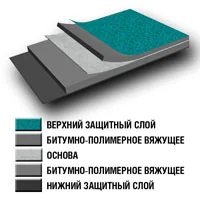 stroenie_bipol bipol